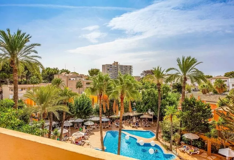 Fotos del hotel Valentin Reina Paguera  Adults Only:  15