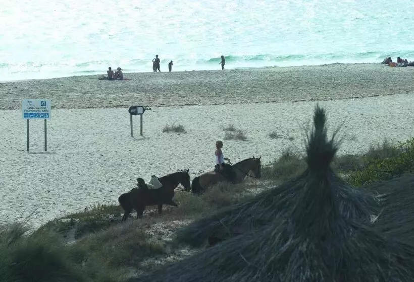 Fotos del hotel Beach  Dos Mares:  17