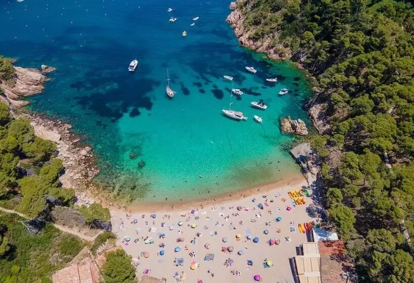 Fotos del hotel Aigua Blava:  18