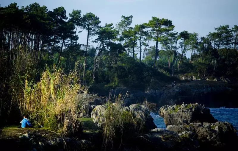 Fotos del hotel Las Olas:  7