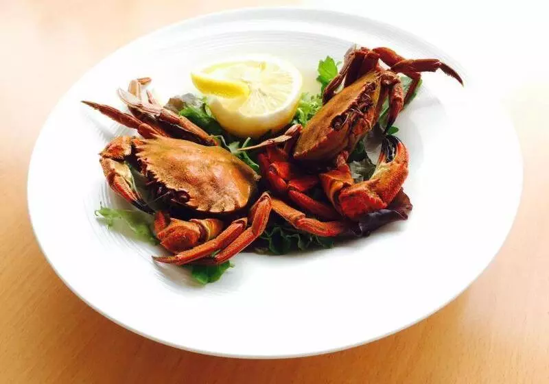 Fotos del hotel Las Olas:  22