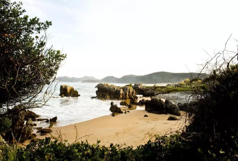 Fotos del hotel Las Olas:  8