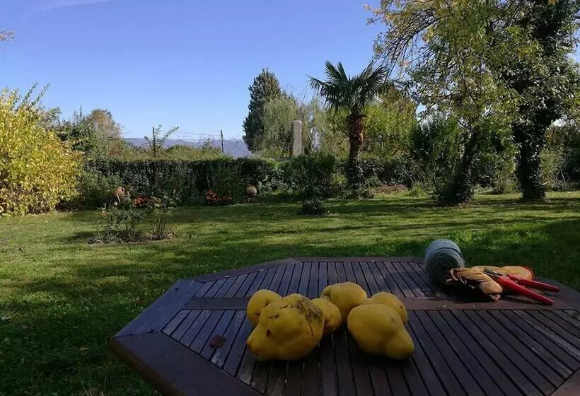 Fotos del hotel Casa Grande De Trives:  3