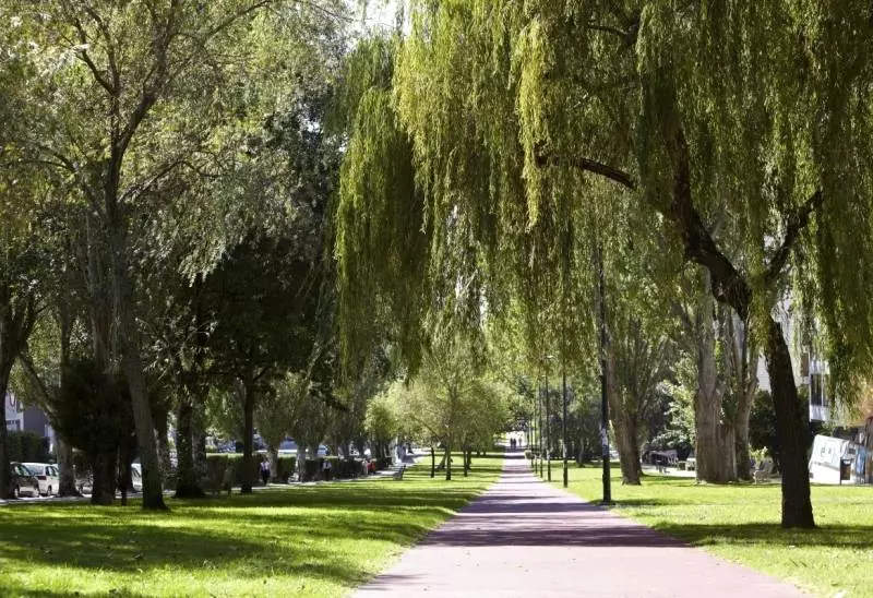 Fotos del hotel Coia De Vigo:  5