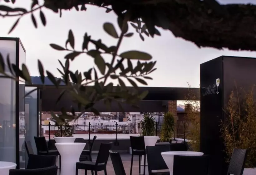 Fotos del hotel Condestable Iranzo:  17