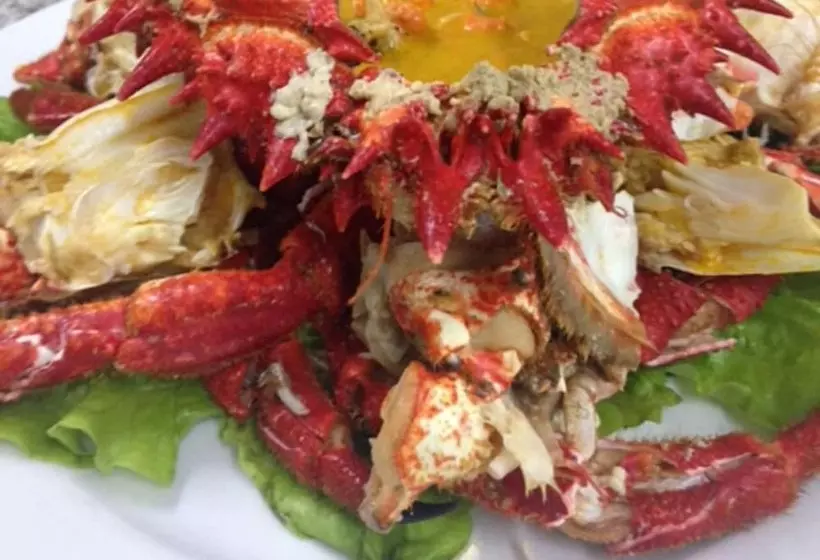 Fotos del hotel Pazo O Rial:  24