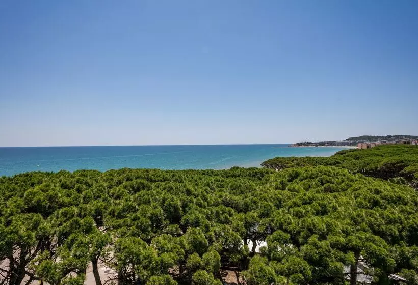 Fotos del hotel Best Terramarina:  27