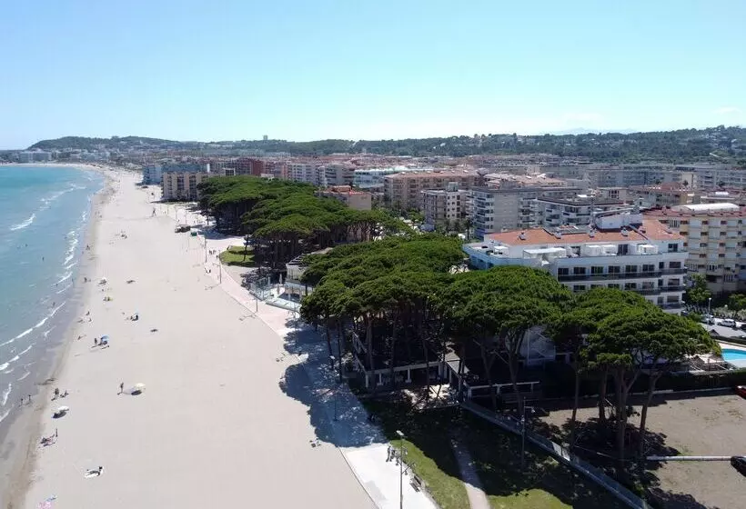 Fotos del hotel Best Terramarina:  26