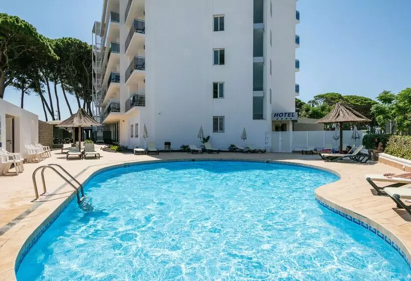 Fotos del hotel Best Terramarina:  12