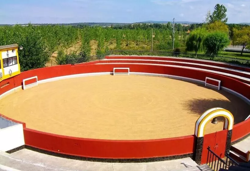 Fotos del hotel Conde Rodrigo 2:  4