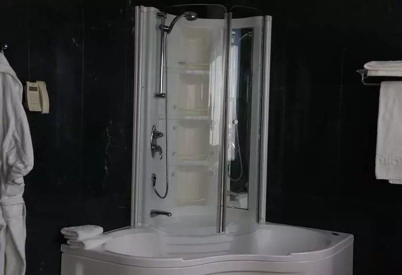 Fotos del hotel Olid:  23