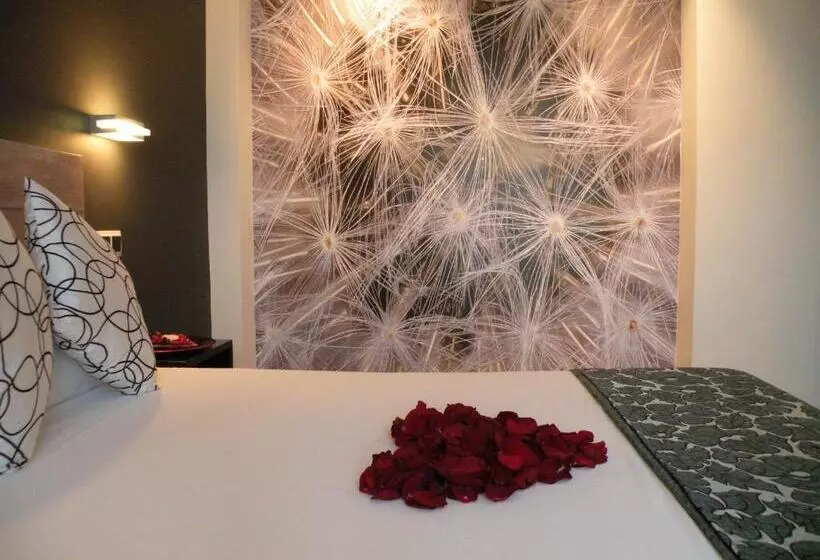 Fotos del hotel Rey Don Sancho:  16