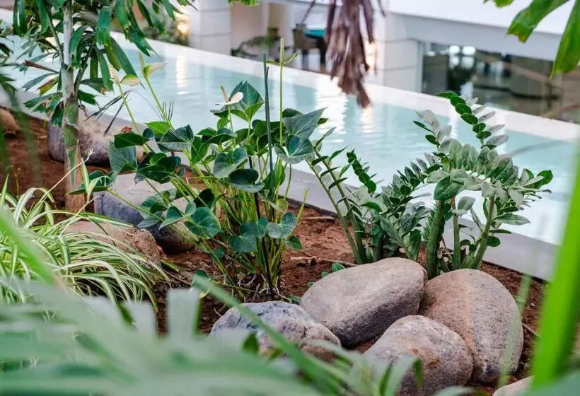 Fotos del hotel Spring Hotel Vulcano:  18