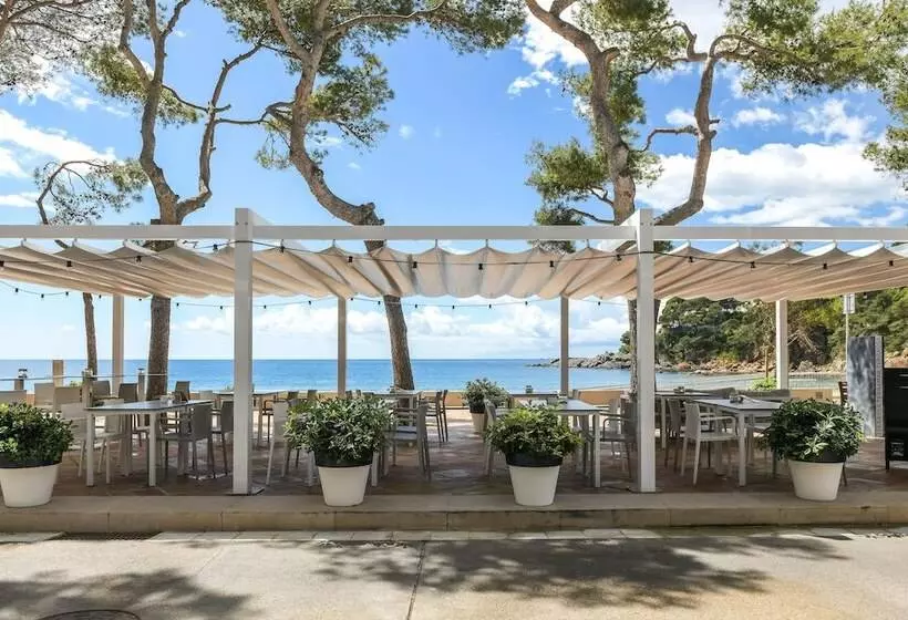 Fotos del hotel Terramar:  5