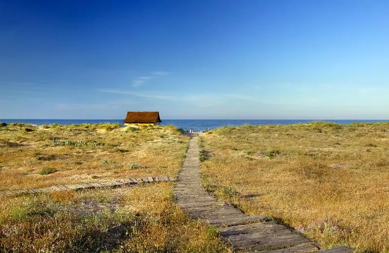 Fotos del hotel Oliva Nova Beach & Golf:  10