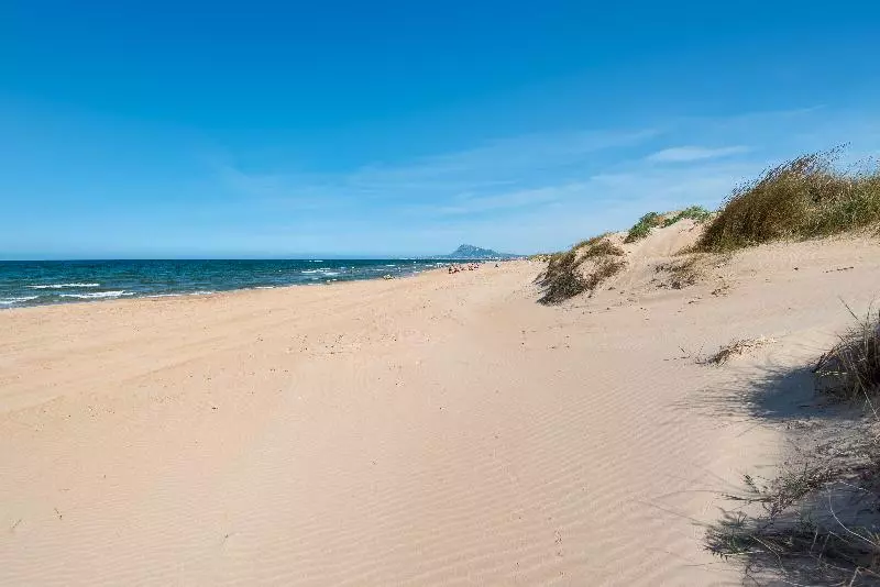 Fotos del hotel Oliva Nova Beach & Golf:  24