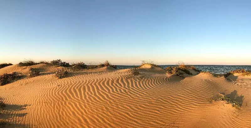 Fotos del hotel Oliva Nova Beach & Golf:  23