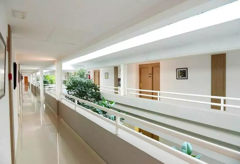 Fotos del hotel Hotel San Carlos:  11