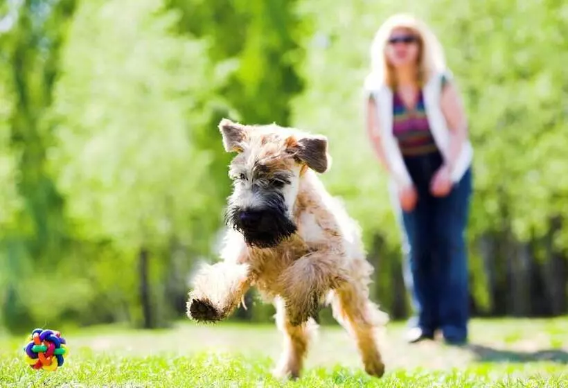 Fotos del hotel Rural La Villa Don Quijote:  8