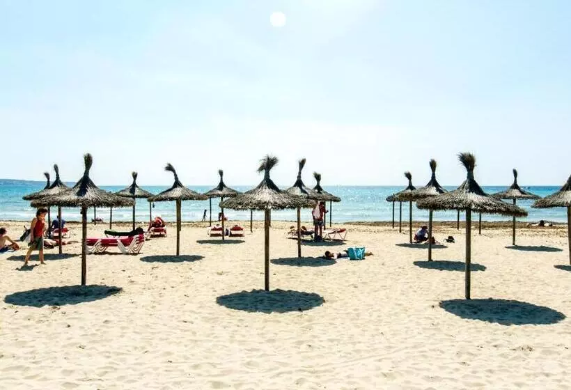 Fotos del hotel Saulo Beach:  14