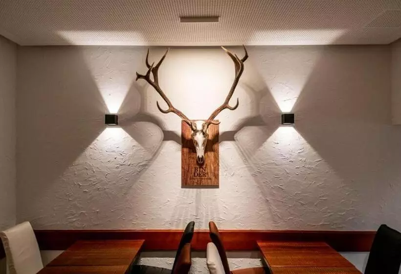 Binders Budget Citymountain