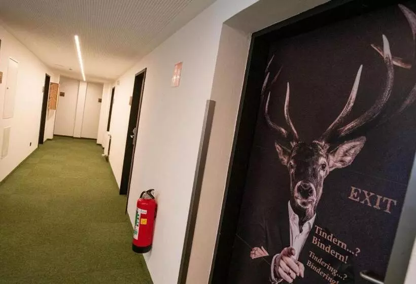 Fotos del hotel Binders Budget Citymountain:  2