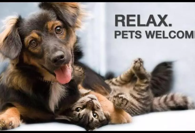 Fotos del hotel Binders Budget Citymountain:  7