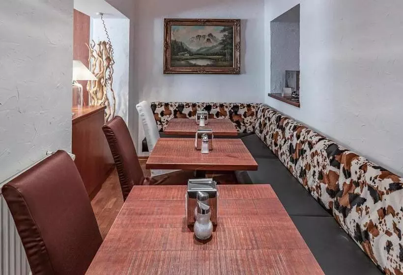 Fotos del hotel Binders Budget Citymountain:  8