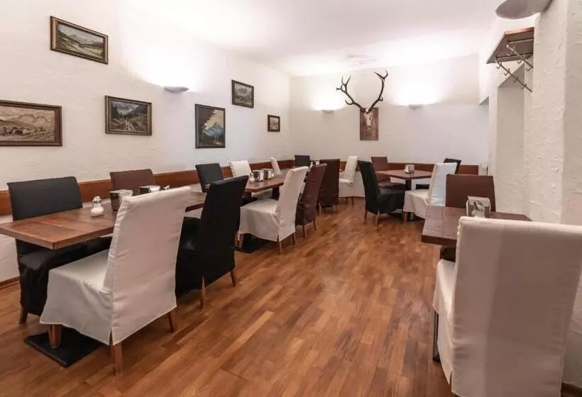 Fotos del hotel Binders Budget Citymountain:  3