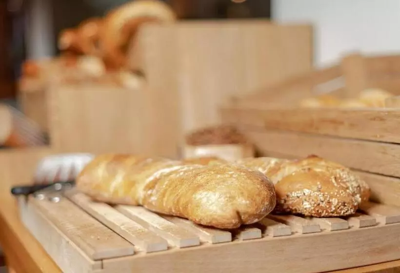 Fotos del hotel Binders Budget Citymountain:  6