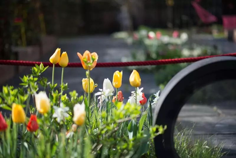 Fotos del hotel Nala Individuell:  23