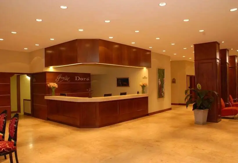 Fotos del hotel Gran Hotel Dora:  18