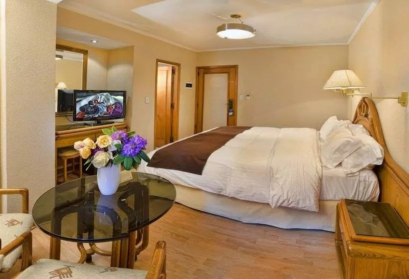 Fotos del hotel Cristal:  21