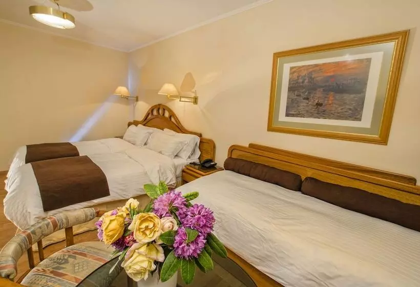 Fotos del hotel Cristal:  19