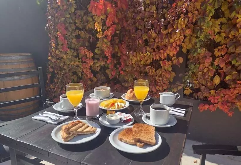 Fotos del hotel Raices Aconcagua:  17