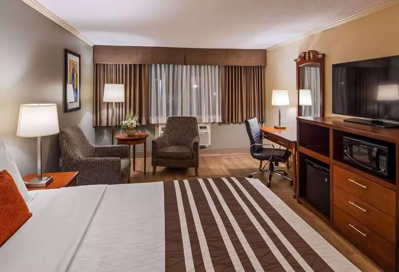 Fotos del hotel Best Western Plus Ottawa City Centre:  17