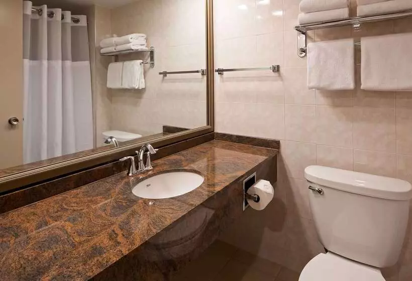 Fotos del hotel Best Western Plus Ottawa City Centre:  14