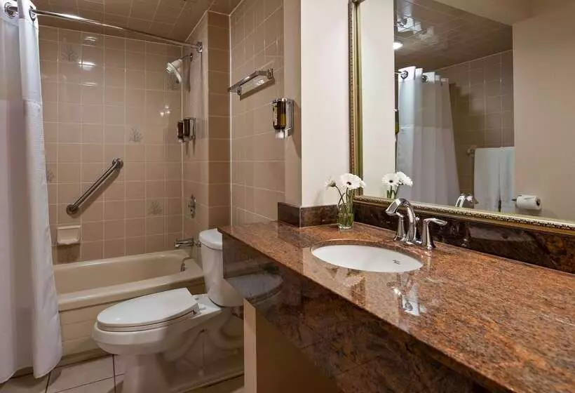 Fotos del hotel Best Western Plus Ottawa City Centre:  5