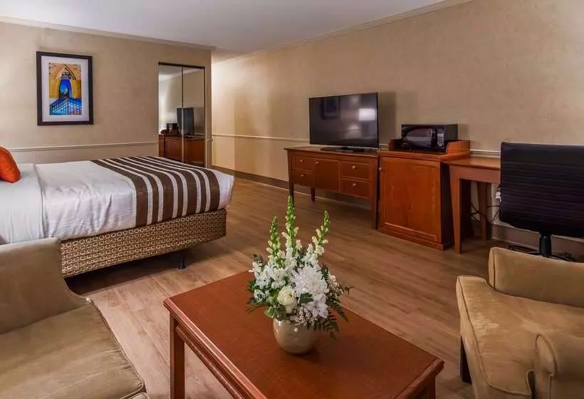 Best Western Plus Ottawa City Centre