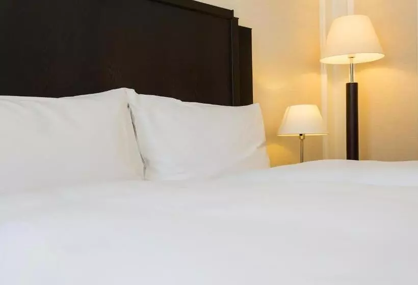 Fotos del hotel Euler Basel:  24