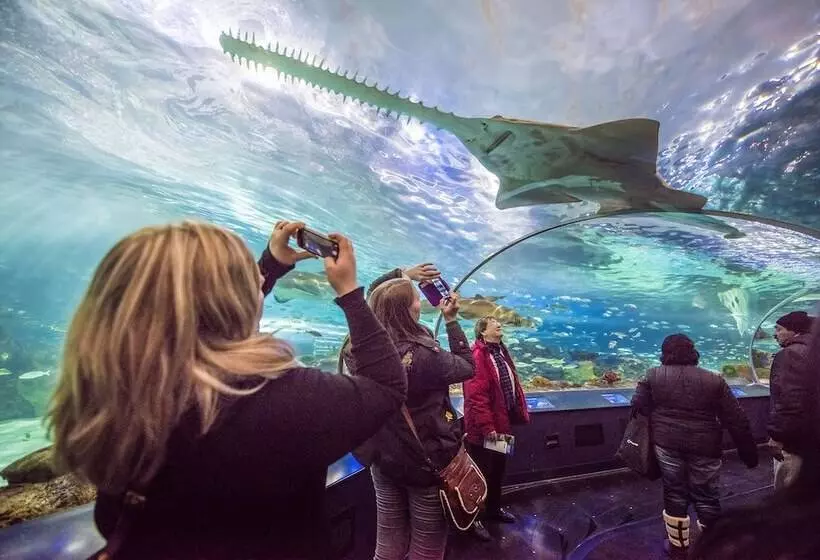 Fotos del hotel The Fairmont Royal York:  9