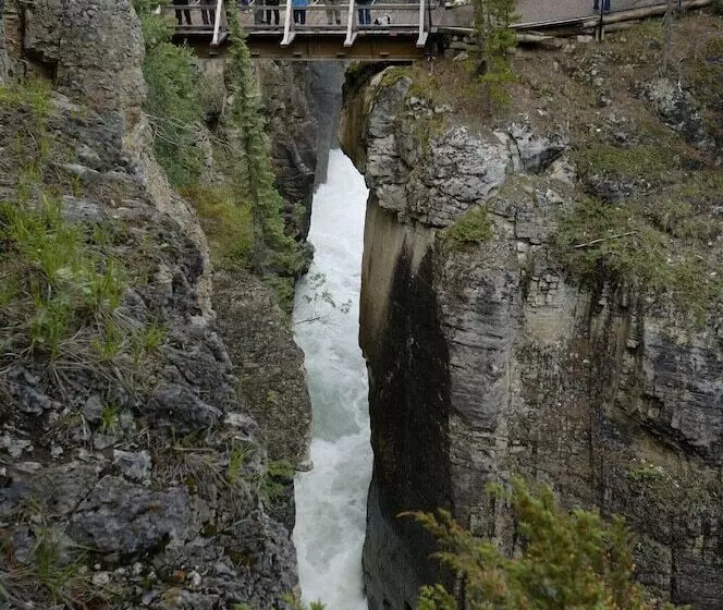 Fotos del hotel Jasper Inn & Suites:  12