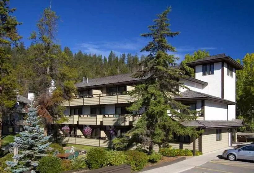 Fotos del hotel Jasper Inn & Suites:  14