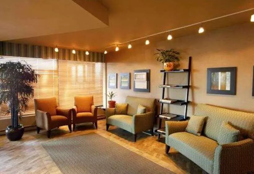 Fotos del hotel Quality Inn & Suites Aéroport P.e. Montréal-trudeau Airport:  18