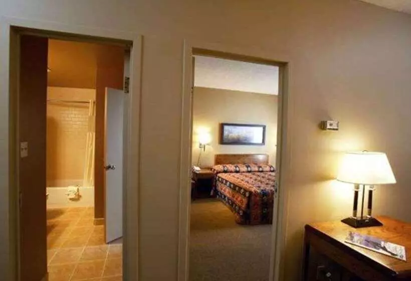 Fotos del hotel Quality Inn & Suites Aéroport P.e. Montréal-trudeau Airport:  21