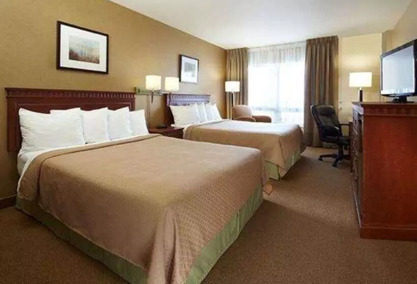 Fotos del hotel Quality Inn & Suites Aéroport P.e. Montréal-trudeau Airport:  17