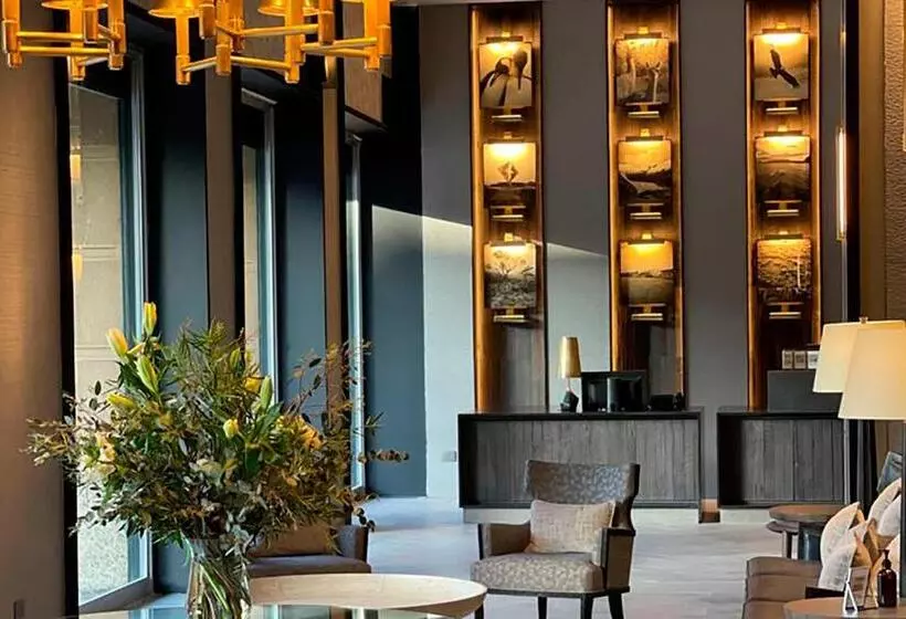 Fotos del hotel Cabo De Hornos:  14