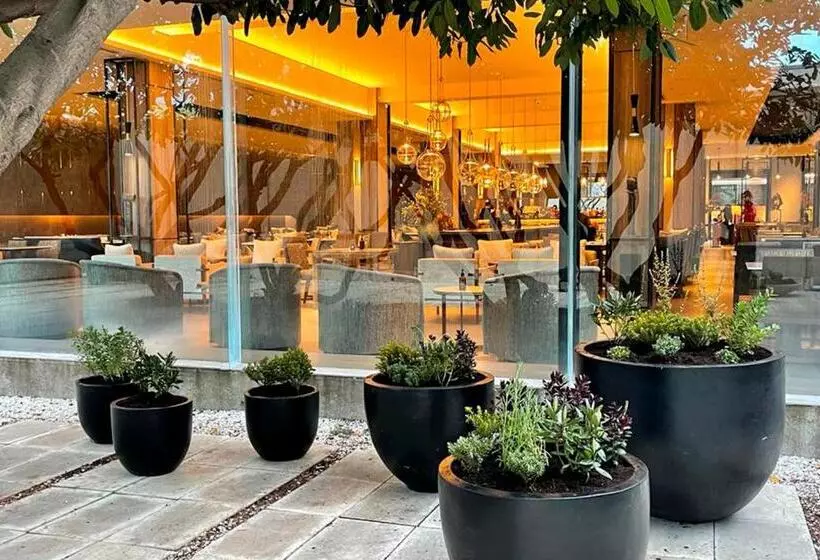 Fotos del hotel Cabo De Hornos:  7