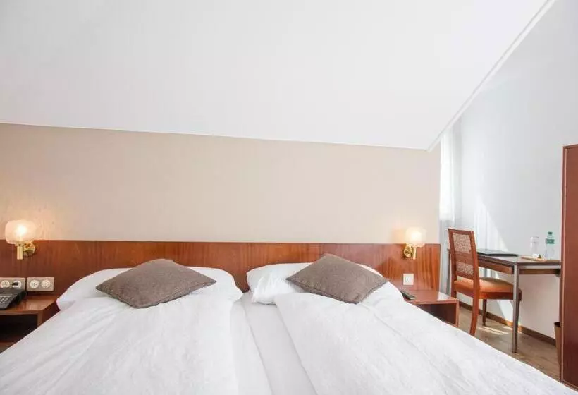 Fotos del hotel Hôtel De Chailly:  20