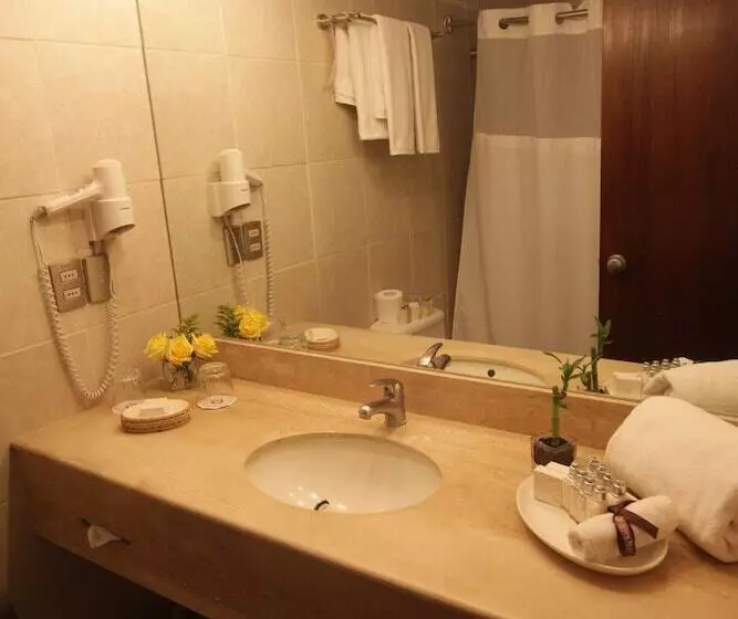 Fotos del hotel Almacruz Hotel Y Centro De Convenciones (ex Galerías):  15